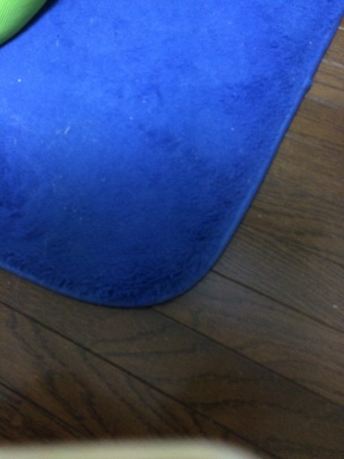 cat12